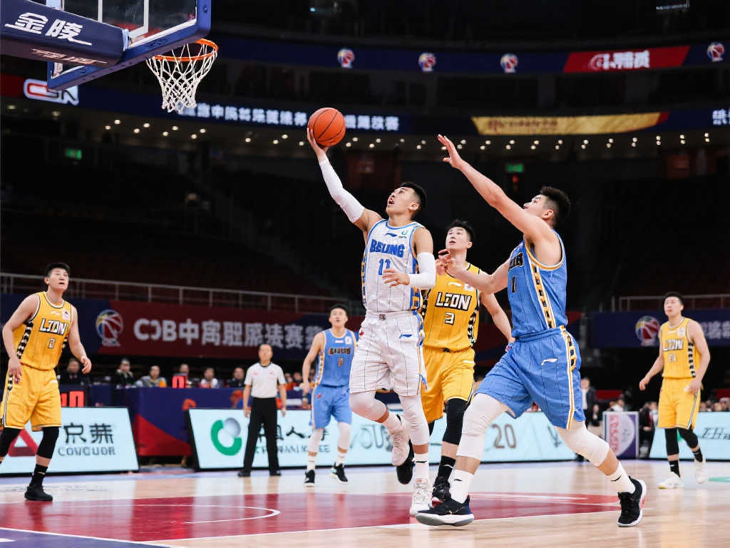 衡的体系 衡的体系